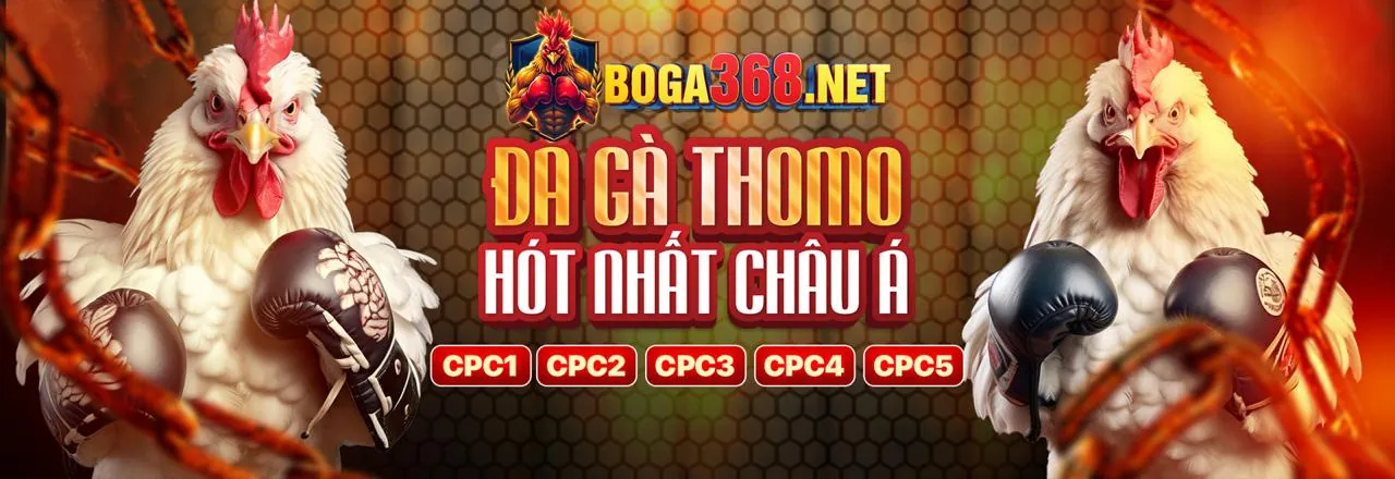 Sân đấu gà chuyên nghiệp tại Winmax Nhà Cái Đá Gà